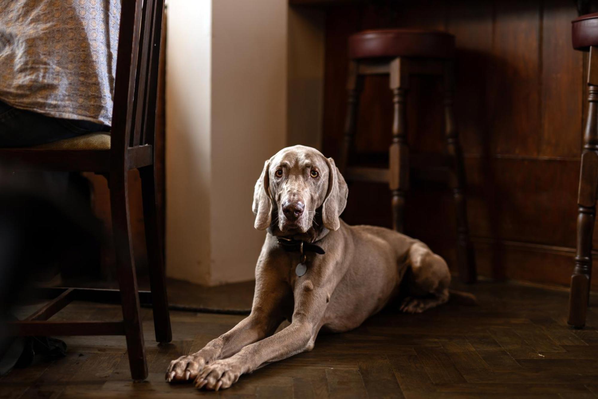 The Lamb Inn Hindon Экстерьер фото